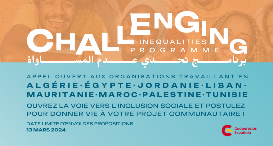 You are currently viewing Programme Challenging Inequalities: Appel à Candidatures